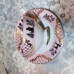 Norcrest Pinkish, Black and Gold Tea Cup & Saucer, N-C-351, Very Different!